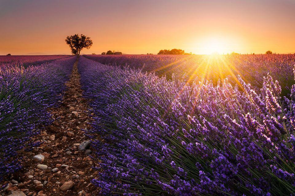 Hotel Le Relais Du Luberon Maubec  Екстериор снимка
